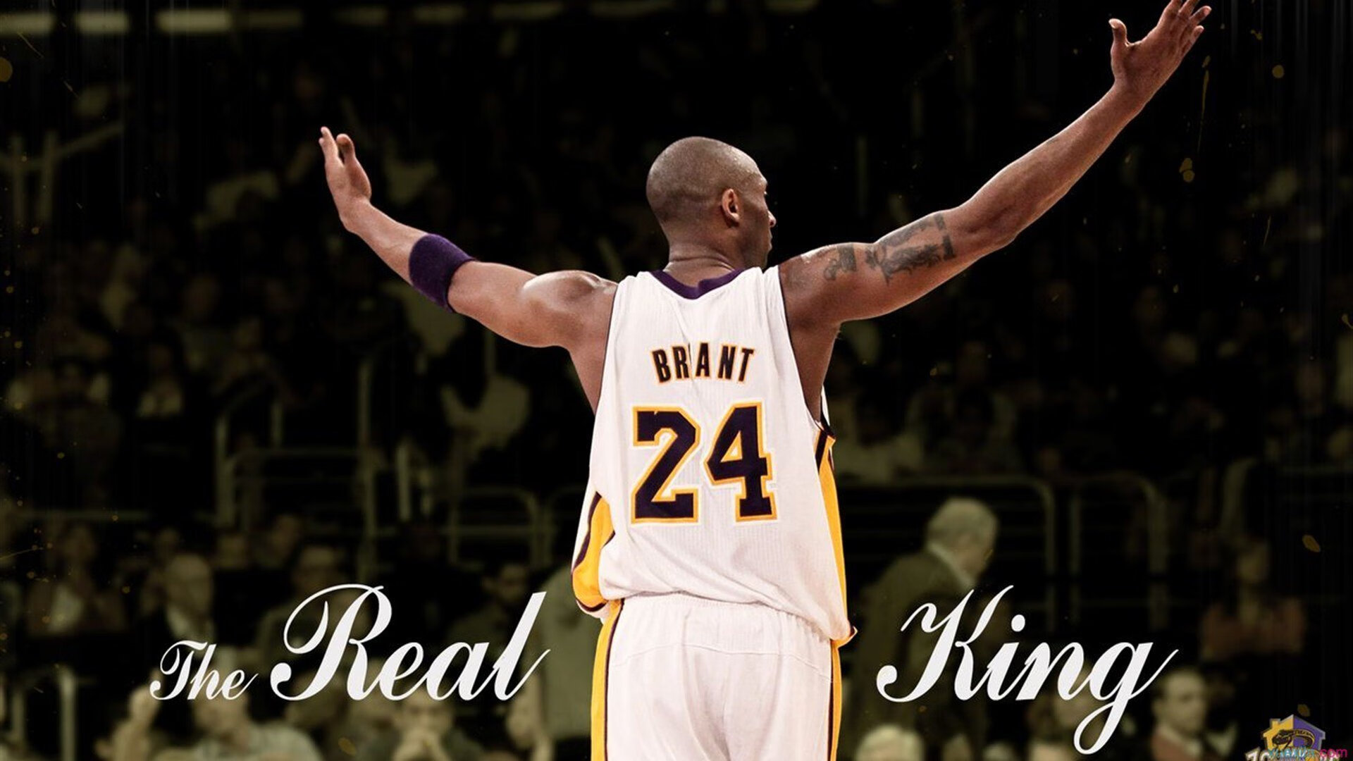 综合格斗赛场焦点！俄罗斯队对阵克罗地亚队，主力缺阵，替补球员挺身而出